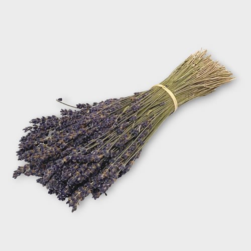 Lavender - Dried (Single Bunches)