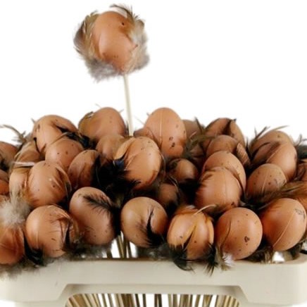 EASTER BROWN EGGS & FEATHER PICKS