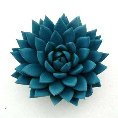 ECHEVERIA PAINTED BLUE 10CM