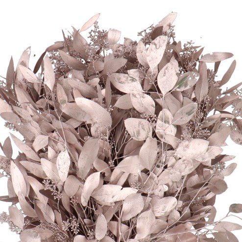 EUCALYPTUS POPULUS WITH BERRIES DYED CHAMPAGNE
