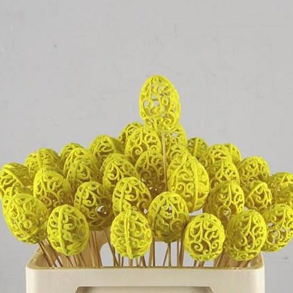 Egg Picks - Baroque Yellow