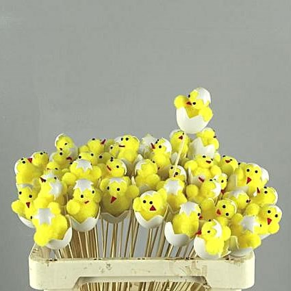 Egg Picks - Chick & Egg Yellow