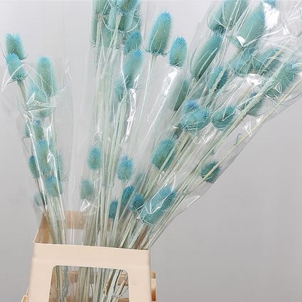Eryngium Dyed Blue Baby (Dried)