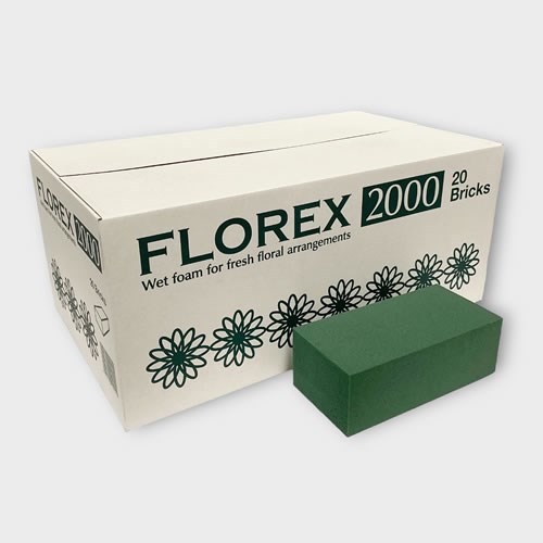 Floral Foam Wet Bricks x 20