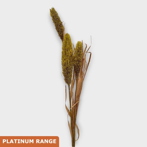 Artificial Faux Bunny Tail Reed