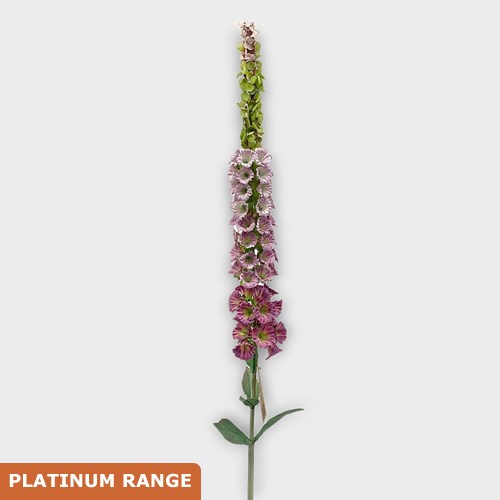 Artificial Faux Foxgloves Purple
