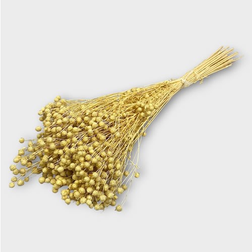 Flax - Bleached & Dried (100gm)