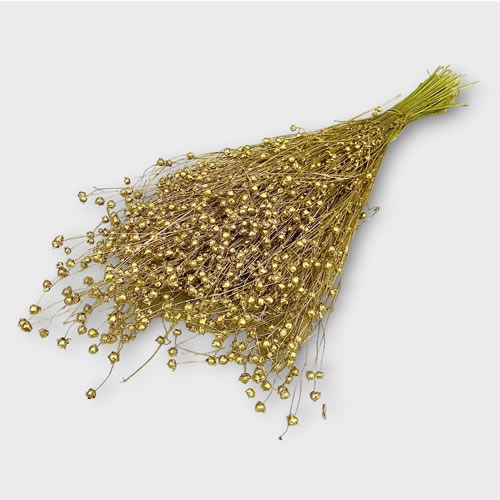 Flax Metallic Gold (Dried)