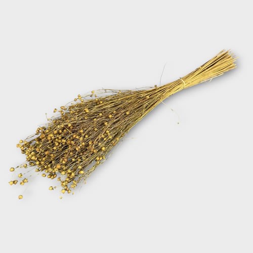 Flax Natural (Dried)