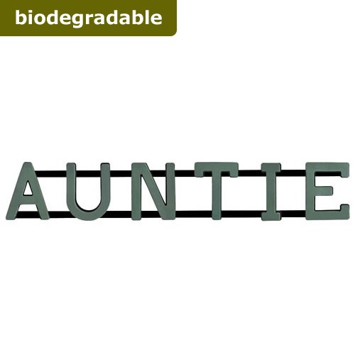 Floral Foam Auntie Frame (Bio Foam)