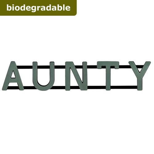 Floral Foam Aunty Frame (Bio Foam)