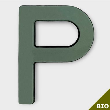 Floral Foam Letter P (Bio Foam)