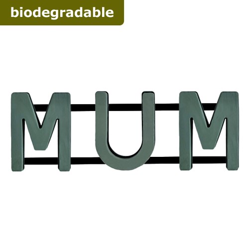 Floral Foam Mum Frame (Bio Foam)