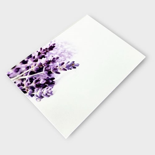 Message Cards Large - Lavender (13x9cm)