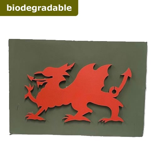 Foam 2D Welsh Dragon 54 x 31cm (Bio Foam)