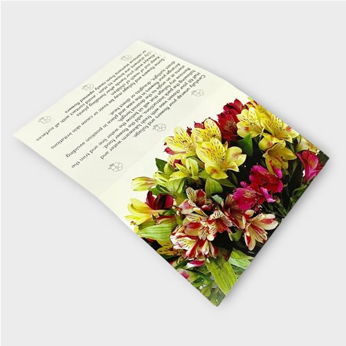 Folding Message Cards - Alstroemeria (10x7cm)