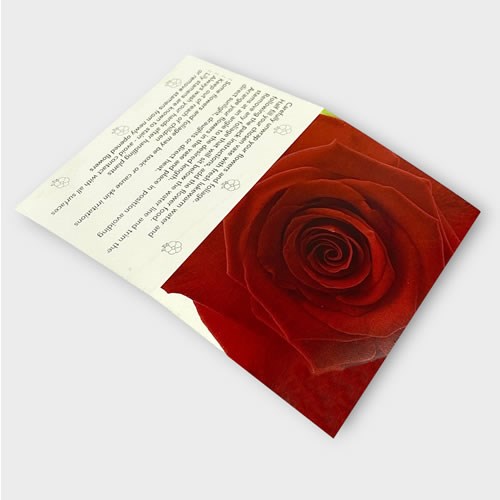 Folding Message Cards - Deep Red Rose (10x7cm)