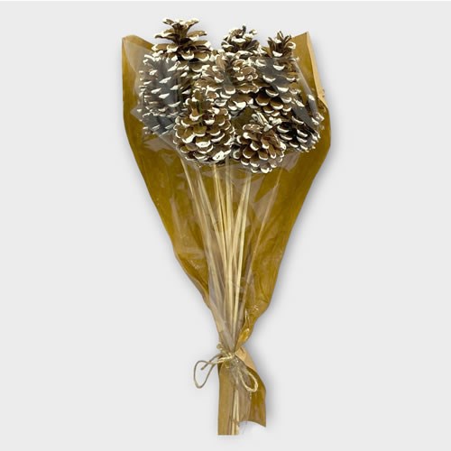 Pine Cone Picks (Frosted)