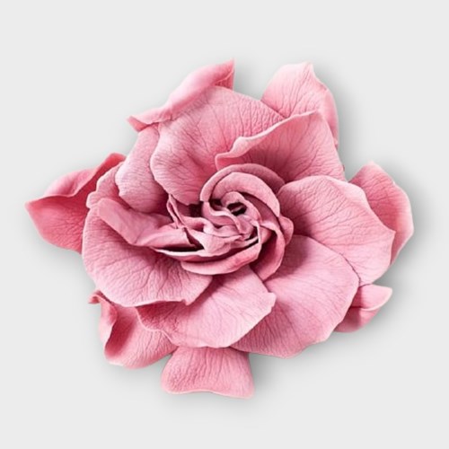 GARDENIA PRESERVED CHERRY BLOSSOM (HEADS)
