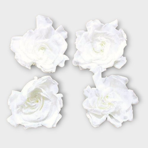GARDENIA PRESERVED WHITE (HEADS)