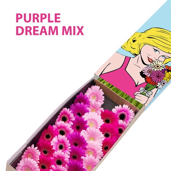 GERMINI PURPLE DREAM MIX (SECURE BOXED)