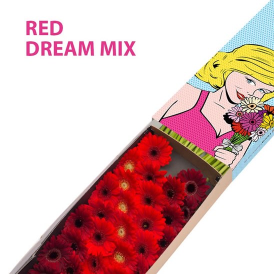 GERMINI RED DREAM MIX (SECURE BOXED)