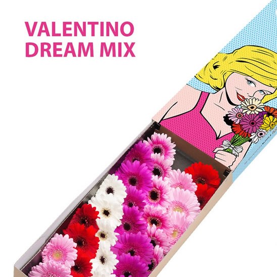 GERMINI VALENTINO DREAM MIX (SECURE BOXED)