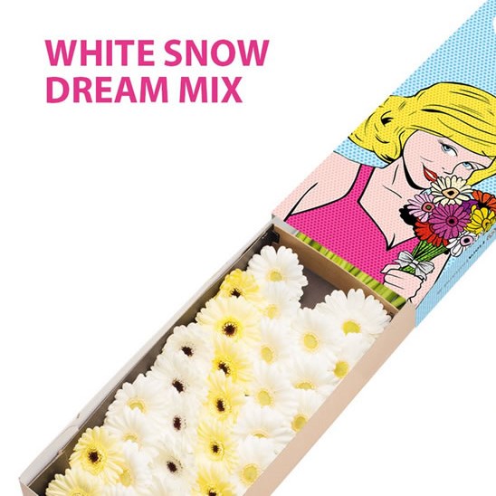 GERMINI WHITE SNOW DREAM MIX (SECURE BOXED)