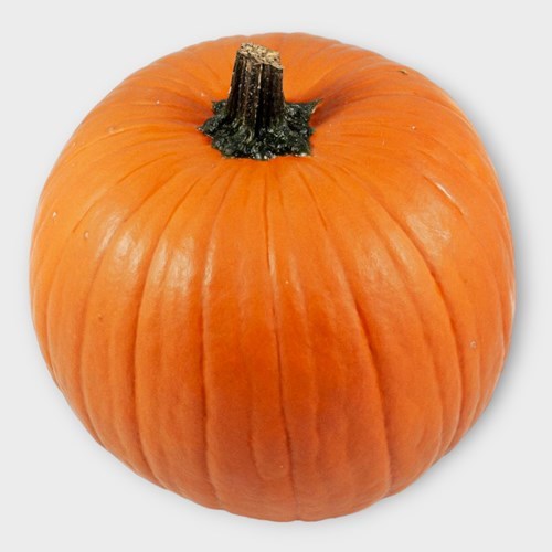 GOURDS - CUCURBITA HALLOWEEN 10CM