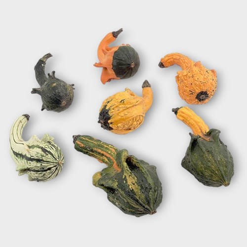 GOURDS - CUCURBITA INDIAN MIX