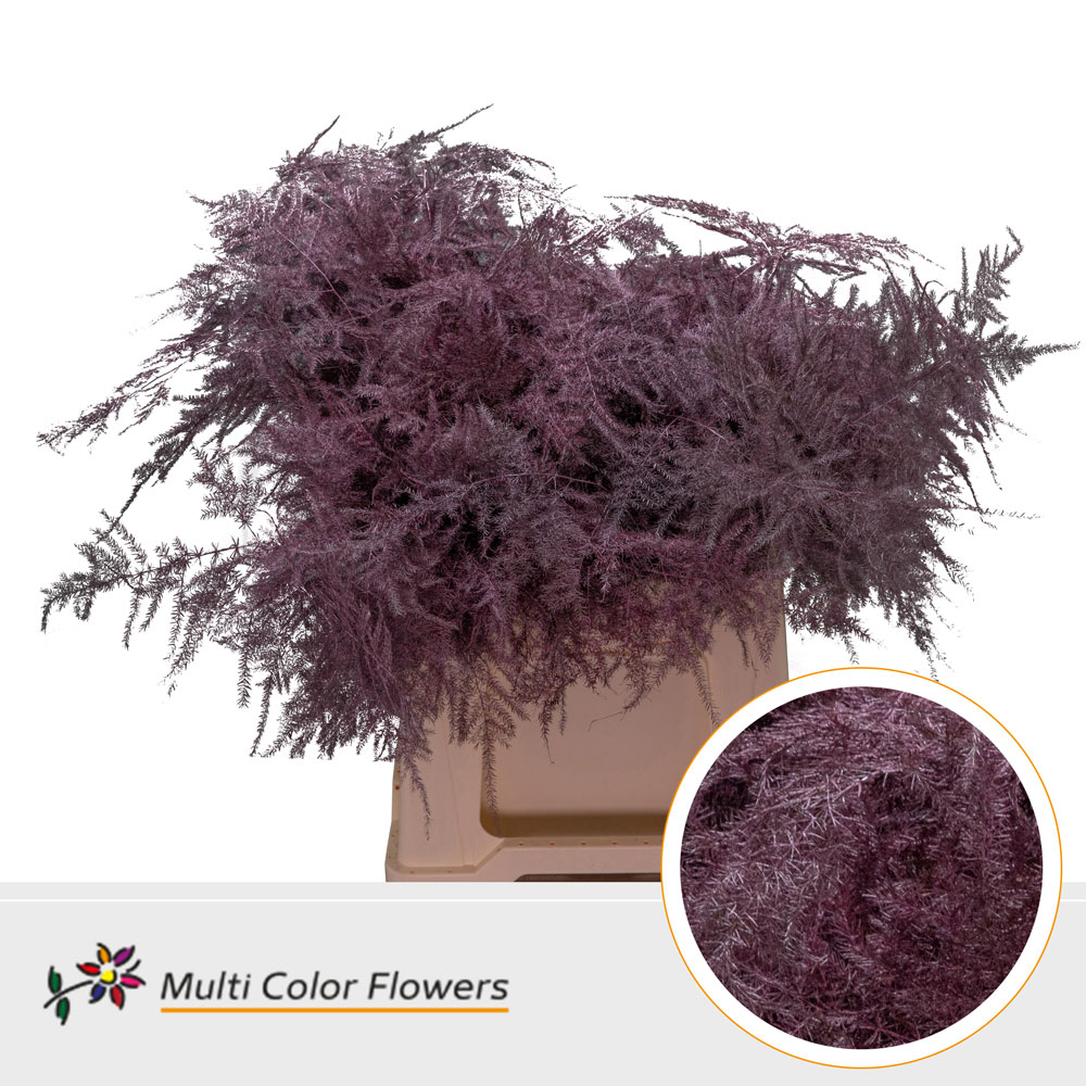 Asparagus Fern Dyed Metallic Pink