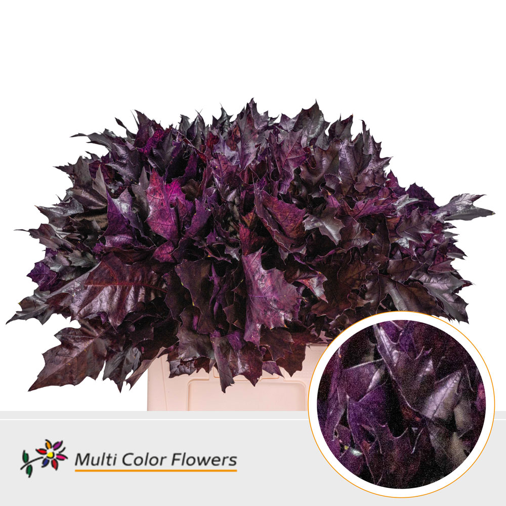 Oak Leaves Dyed Aubergine