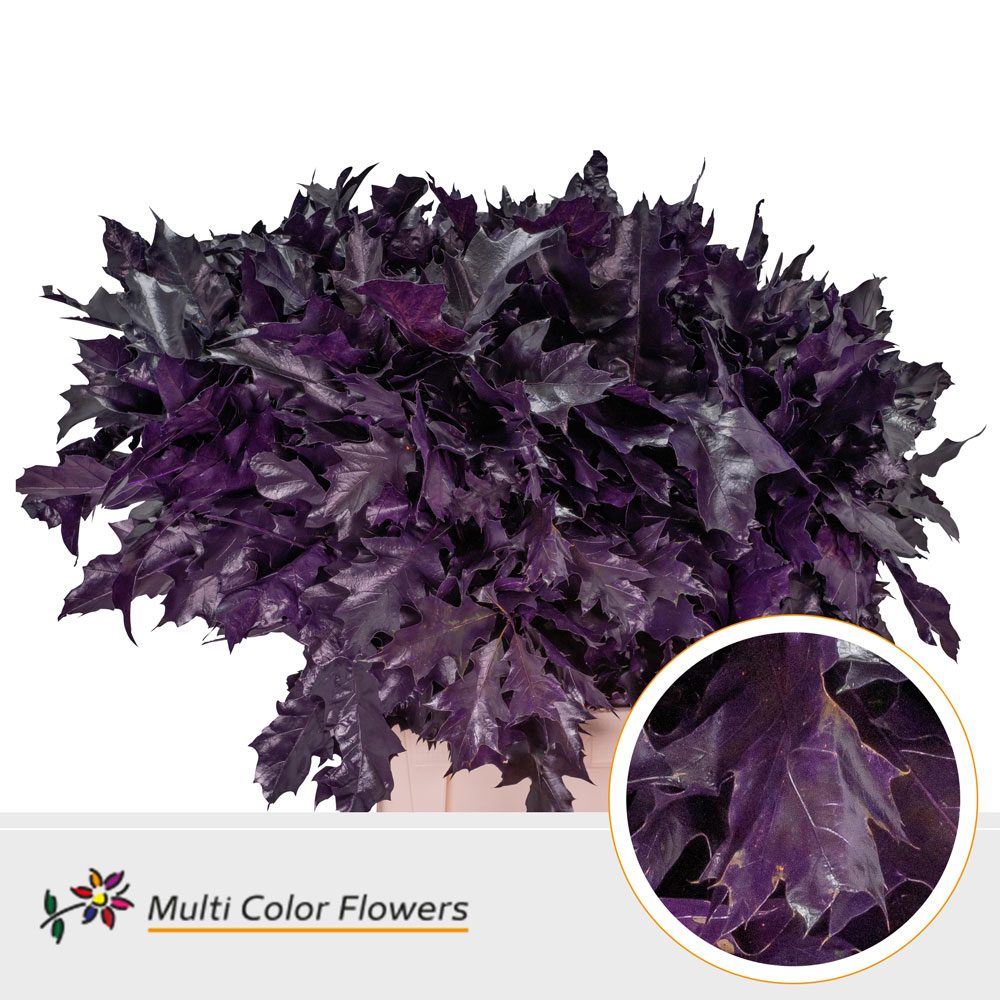 Oak Leaves Dyed Aubergine