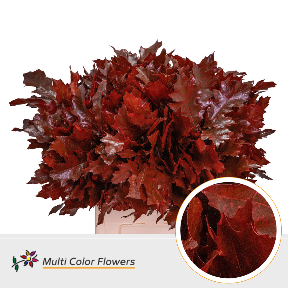 Oak Leaves Dyed Red