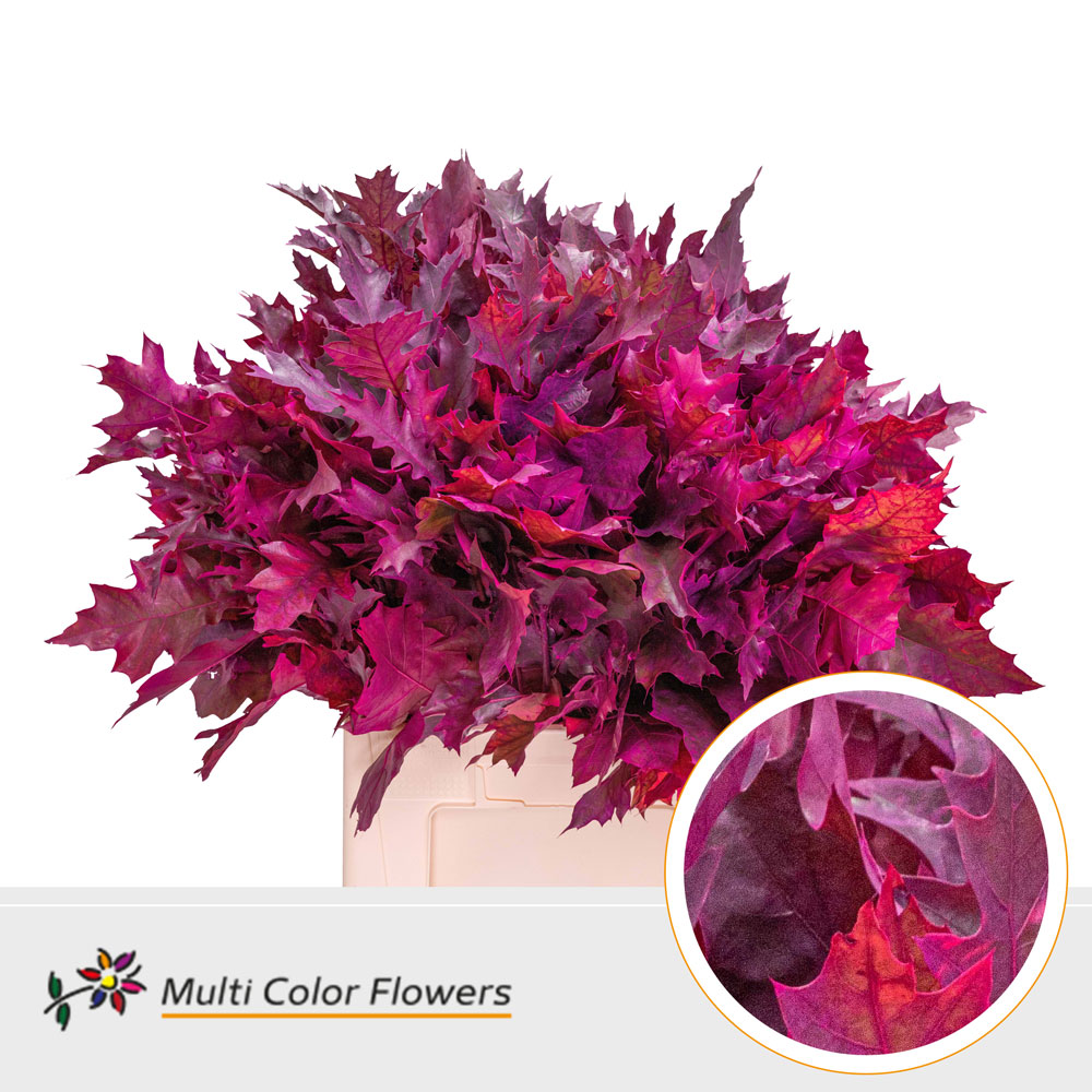 Oak Leaves Dyed Erica