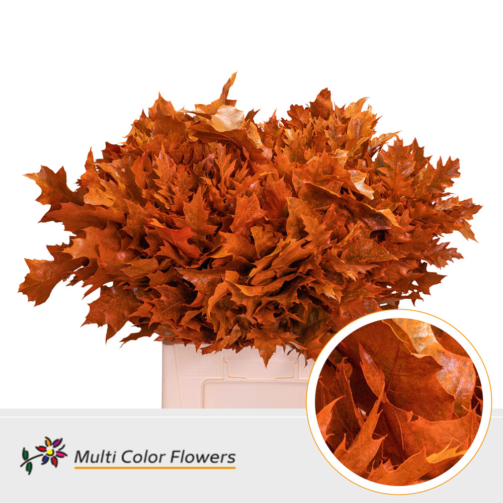 Oak Leaves Dyed Orange