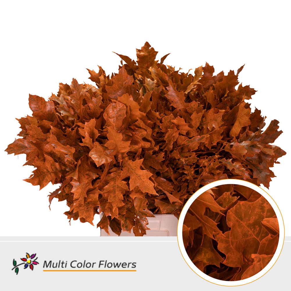 Oak Leaves Dyed Orange