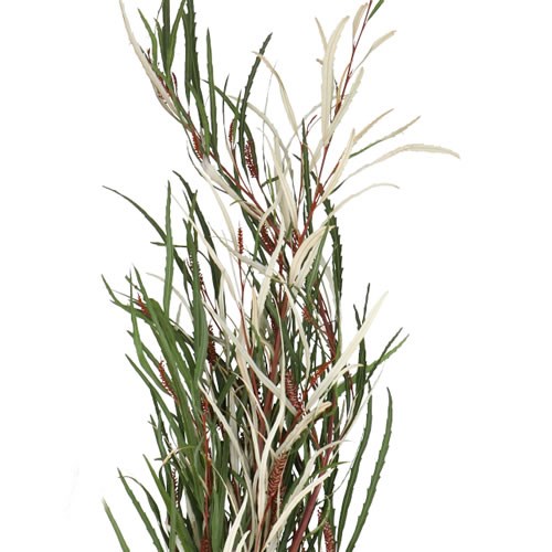 GREVILLEA FINE