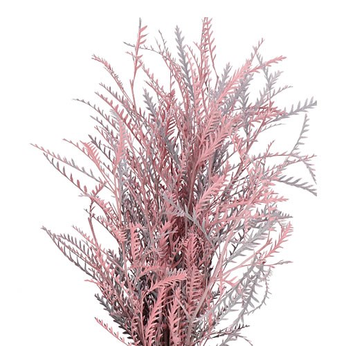 GREVILLEA IVANHOE DYED LIGHT PINK