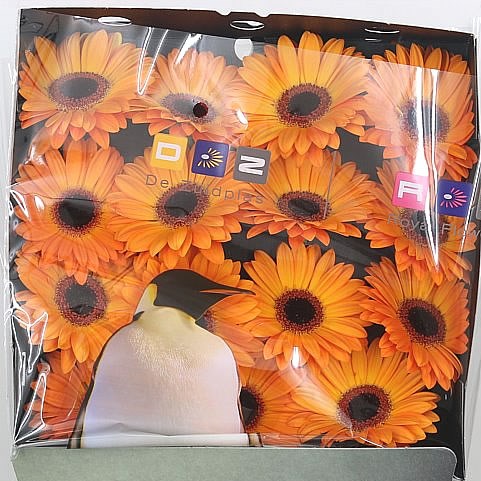 Gerbera Golden Serena