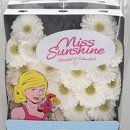 Germini Bianchi (Secure Boxed)