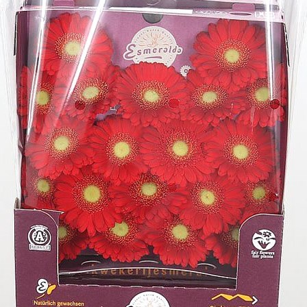 Germini Grappa (Secure Packed)