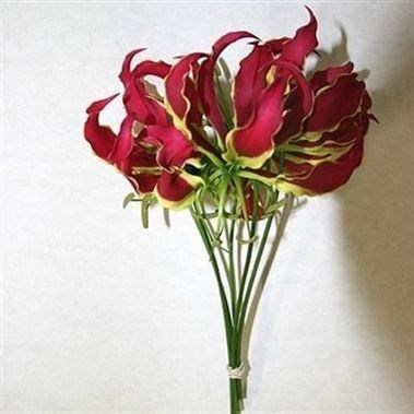 Gloriosa Red (Short)