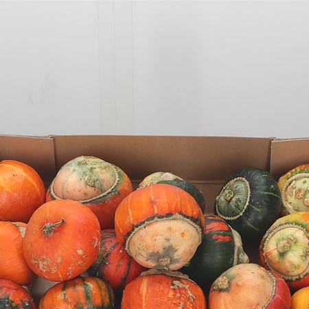 Gourds - Turks Turban Mini Mix