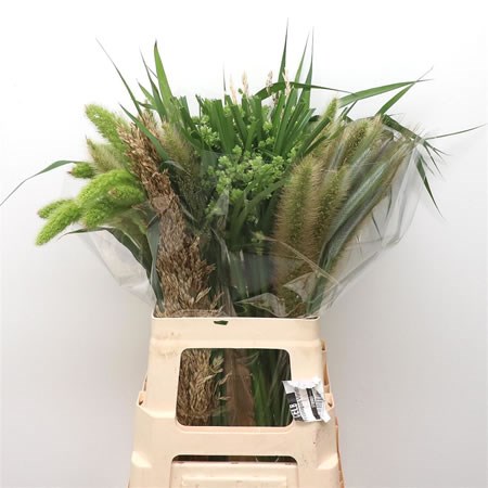 Grass Mix