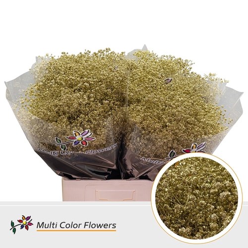 Gypsophila Large Dyed Gold