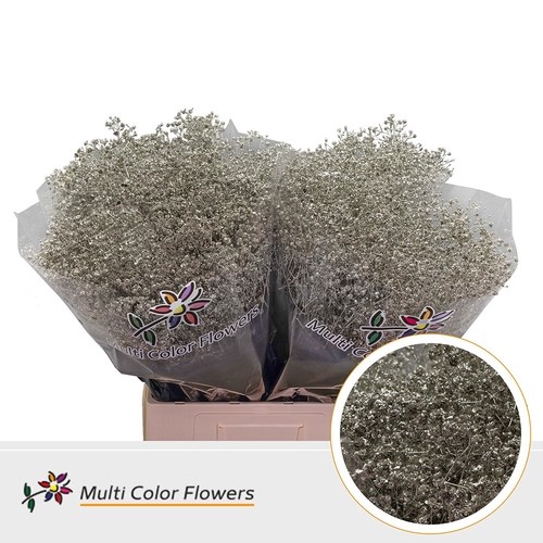 Gypsophila Large Dyed Platina