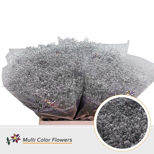 Gypsophila Large Dyed Silver