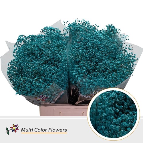 Gypsophila Large Dyed Turquoise