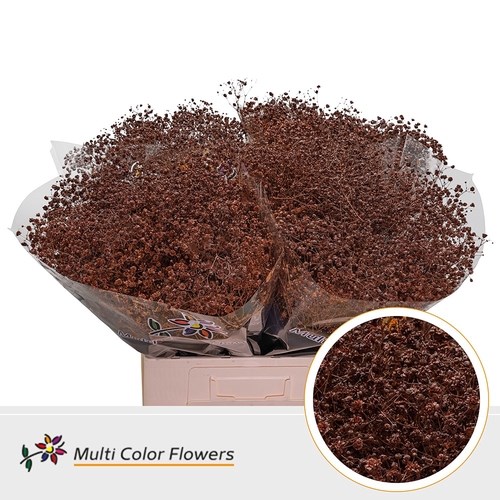 Gypsophila Small Dyed Brown